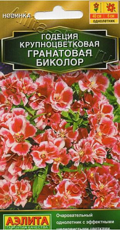 Годеция Гранатовая Биколор 0,05гр, крупноцветковая (Аэлита) фото Годеция Гранатовая Биколор 0,05гр, крупноцветковая (Аэлита) - "Наш сад"