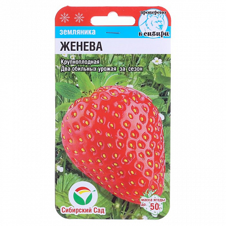 Земляника Женева 10шт, крупноплодная, клубника (Сибирский Сад) фото Земляника Женева 10шт, крупноплодная, клубника (Сибирский Сад) - "Наш сад"