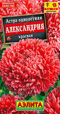 Астра Александрия Красная 0,1гр (Аэлита) фото Астра Александрия Красная 0,1гр (Аэлита) - "Наш сад"