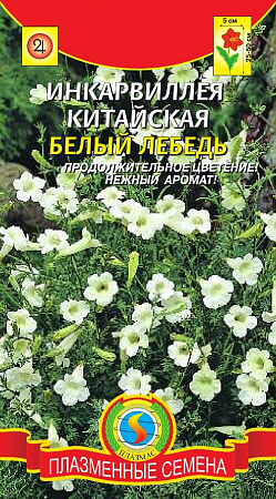Инкарвиллея Белый Лебедь 7шт, китайская (Плазменные семена) фото Инкарвиллея Белый Лебедь 7шт, китайская (Плазменные семена) - "Наш сад"