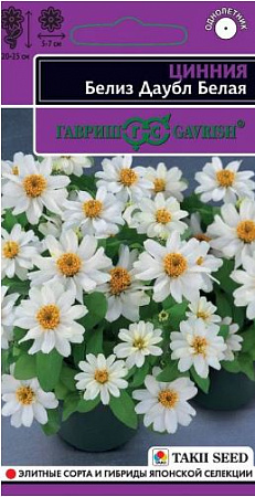 Цинния Белиз Даубл Белая 5шт, изящная (Гавриш) фото Цинния Белиз Даубл Белая 5шт, изящная (Гавриш) - "Наш сад"