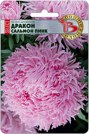 Астра Дракон Селект Сальмон Пинк 30шт, китайская (Биотехника) фото Астра Дракон Селект Сальмон Пинк 30шт, китайская (Биотехника) - "Наш сад"