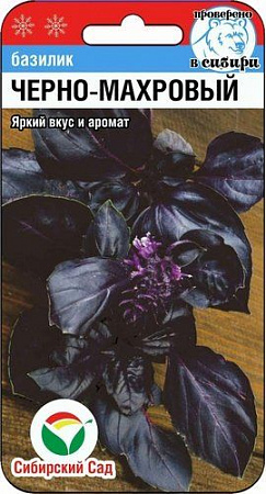 Базилик Черно-Махровый 0,5гр (Сибирский Сад) фото Базилик Черно-Махровый 0,5гр (Сибирский Сад) - "Наш сад"
