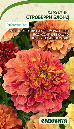Бархатцы Строберри Блонд 5шт, PanAmerican Seed (Садовита) фото Бархатцы Строберри Блонд 5шт, PanAmerican Seed (Садовита) - "Наш сад"