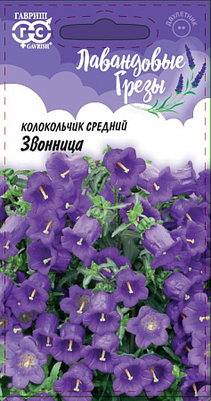 Колокольчик Звонница 0,05гр, средний, сер. Лавандовые грезы (Гавриш) фото Колокольчик Звонница 0,05гр, средний, сер. Лавандовые грезы (Гавриш) - "Наш сад"