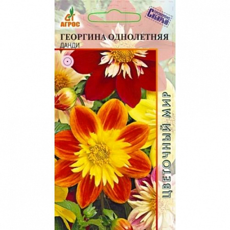 Георгина Данди 0,2гр, однолетняя (Агрос) фото Георгина Данди 0,2гр, однолетняя (Агрос) - "Наш сад"