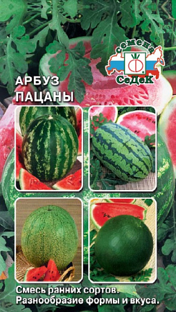 Арбуз Пацаны 1гр (СеДеК) - "Наш сад"
