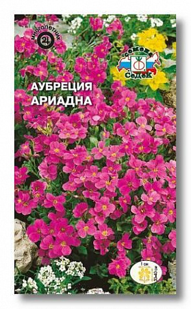 Аубреция Ариадна 0,1гр (Седек) фото Аубреция Ариадна 0,1гр (Седек) - "Наш сад"