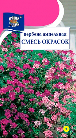 Вербена Смесь Окрасок 0,1гр, ампельная (Урожай удачи) фото Вербена Смесь Окрасок 0,1гр, ампельная (Урожай удачи) - "Наш сад"