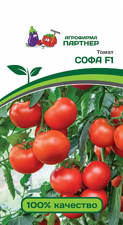 Томат Софа F1 0,05гр (Партнер) фото Томат Софа F1 0,05гр (Партнер) - "Наш сад"