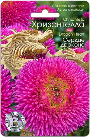 Астра Хризантелла Сердце Дракона 30шт, китайская (Биотехника) фото Астра Хризантелла Сердце Дракона 30шт, китайская (Биотехника) - "Наш сад"