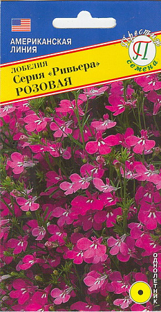 Лобелия Ривьера Розовая 5шт (Престиж) фото Лобелия Ривьера Розовая 5шт (Престиж) - "Наш сад"
