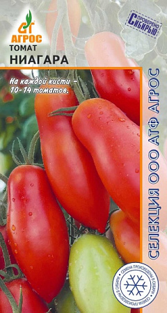 Томат Ниагара 0,08гр (Агрос) фото Томат Ниагара 0,08гр (Агрос) - "Наш сад"