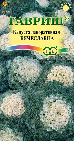Капуста декоративная Вячеславна 0,05гр (Гавриш) - "Наш сад"