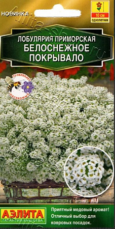 Алиссум (лобулярия) Белоснежное Покрывало 0,05гр, приморская (Аэлита) фото Алиссум (лобулярия) Белоснежное Покрывало 0,05гр, приморская (Аэлита) - "Наш сад"