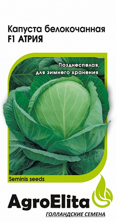 Капуста б/к Атрия F1 10шт, Seminis (Агроэлита) фото Капуста б/к Атрия F1 10шт, Seminis (Агроэлита) - "Наш сад"