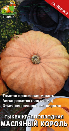 Тыква Масляный Король 10шт, крупноплодная (Поиск) фото Тыква Масляный Король 10шт, крупноплодная (Поиск) - "Наш сад"