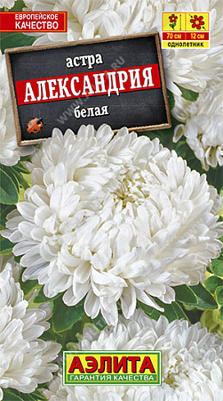 Астра Александрия Белая 0,1гр (Аэлита) фото Астра Александрия Белая 0,1гр (Аэлита) - "Наш сад"