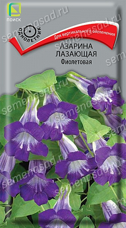 Азарина Фиолетовая 10шт, лазающая (Поиск) фото Азарина Фиолетовая 10шт, лазающая (Поиск) - "Наш сад"