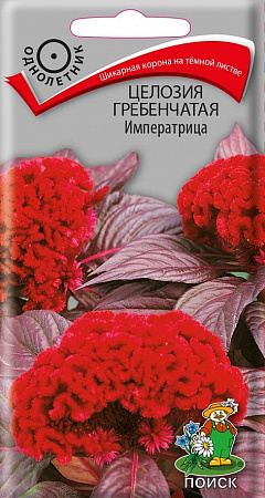 Целозия Императрица 0,1гр, гребенчатая (Поиск) - "Наш сад"