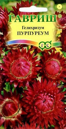 Гелихризум Пурпуреум 0,1гр (Гавриш) - "Наш сад"