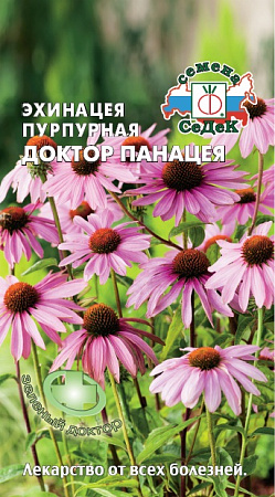 Эхинацея Доктор Панацея 0,1гр, пурпурная (Седек) фото Эхинацея Доктор Панацея 0,1гр, пурпурная (Седек) - "Наш сад"
