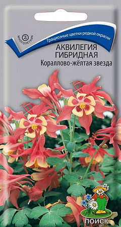 Аквилегия Кораллово-желтая Звезда 0,05гр, гибридная (Поиск) фото Аквилегия Кораллово-желтая Звезда 0,05гр, гибридная (Поиск) - "Наш сад"