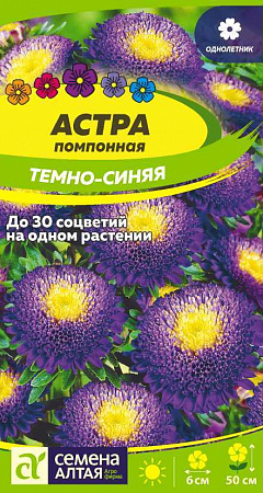 Астра Темно-Синяя 0,2гр, помпонная (Семена Алтая) фото Астра Темно-Синяя 0,2гр, помпонная (Семена Алтая) - "Наш сад"