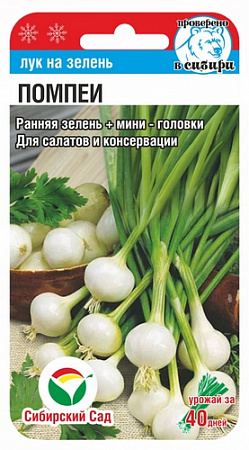 Лук на зелень Помпеи 0,5гр (Сибирский Сад) - "Наш сад"