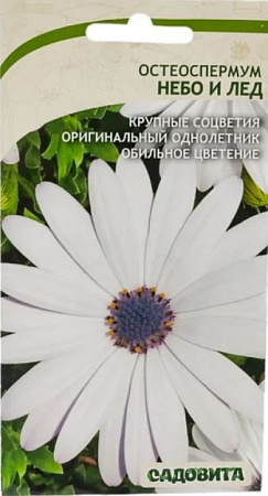 Остеоспермум Небо и Лед 0,1гр (Садовита) фото Остеоспермум Небо и Лед 0,1гр (Садовита) - "Наш сад"