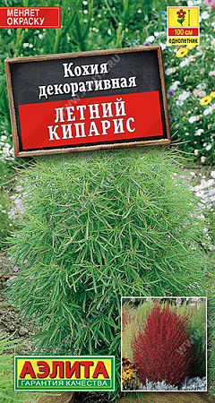 Кохия Летний Кипарис 0,3гр, декоративная (Аэлита) фото Кохия Летний Кипарис 0,3гр, декоративная (Аэлита) - "Наш сад"